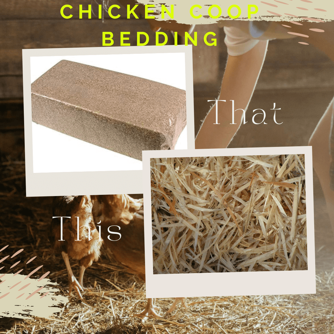 Choosing the Best Chicken Coop Bedding An Indepth Comparison