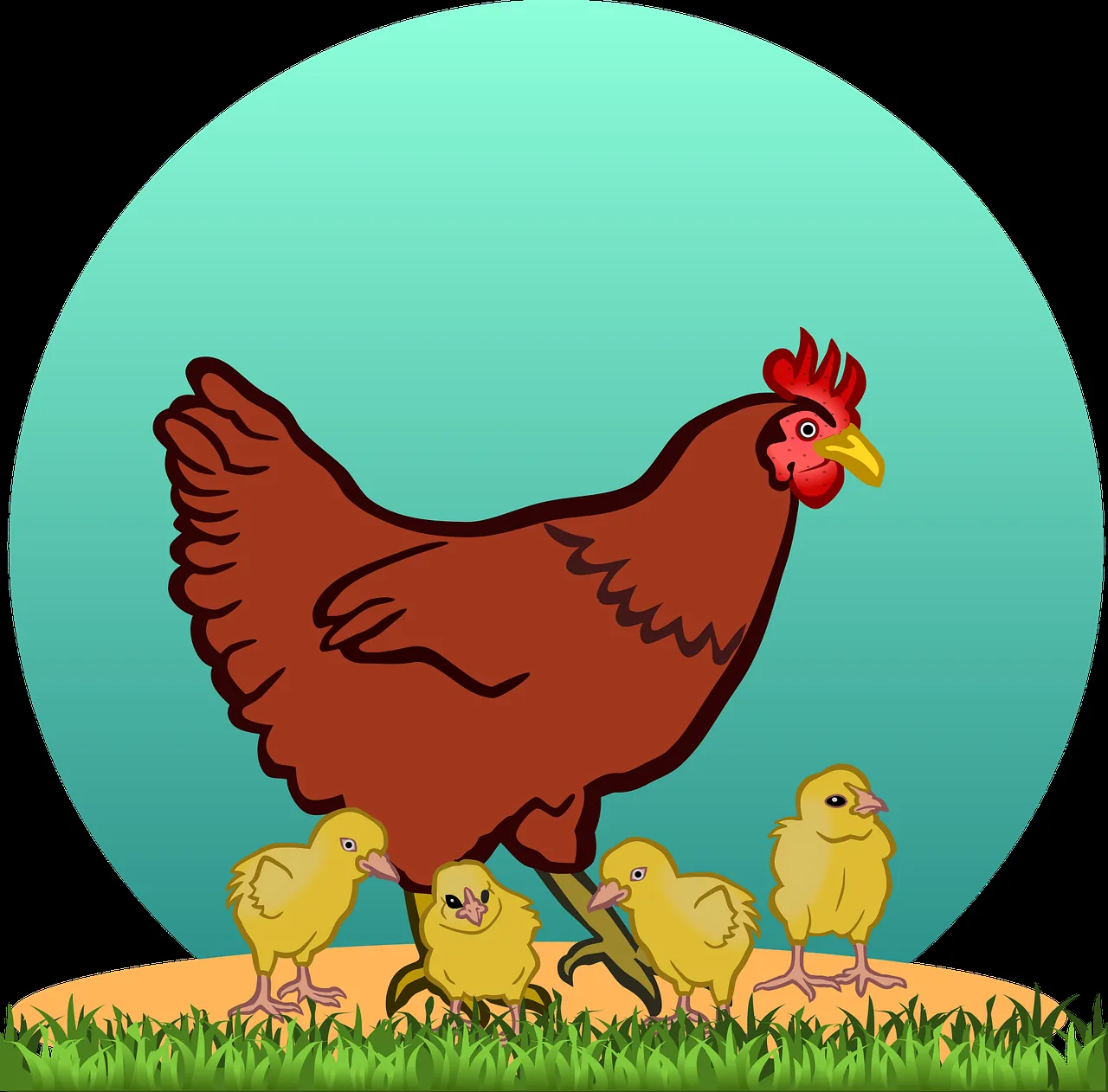 How Long Does a Chicken Live: Factors Affecting Lifespan