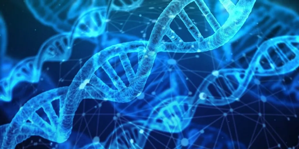 pictorial representation of DNA